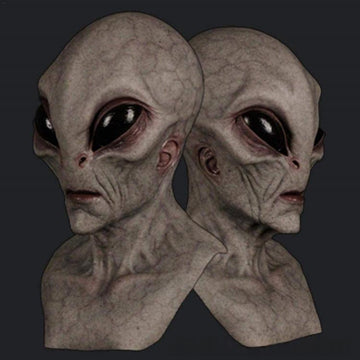 11693086