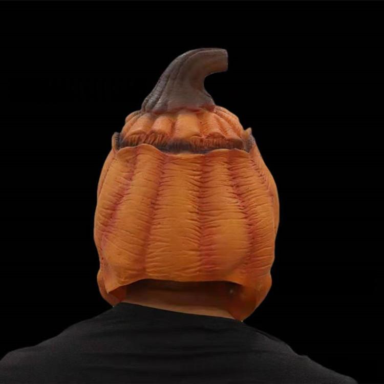 11693007